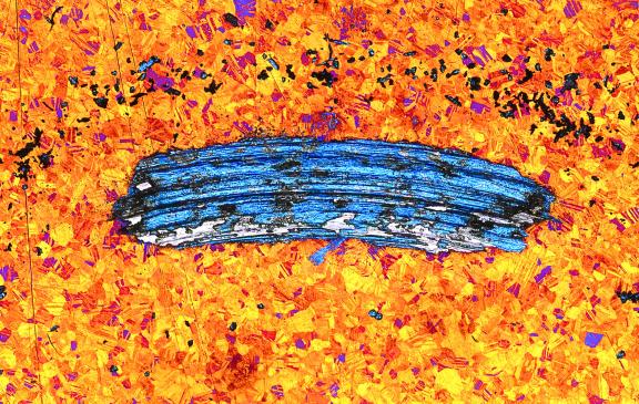 Photo by Andre Mayer, Toukir Ahmed, Amit Roy, Pantcho Stoyanov